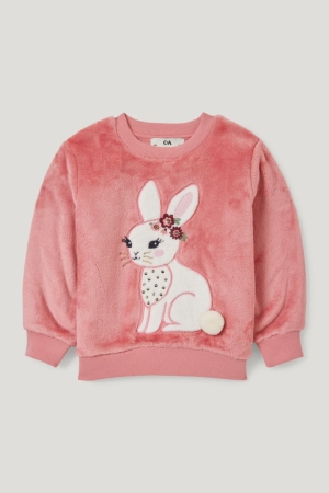 C&A Sweatshirts Roze | FDQ-710638