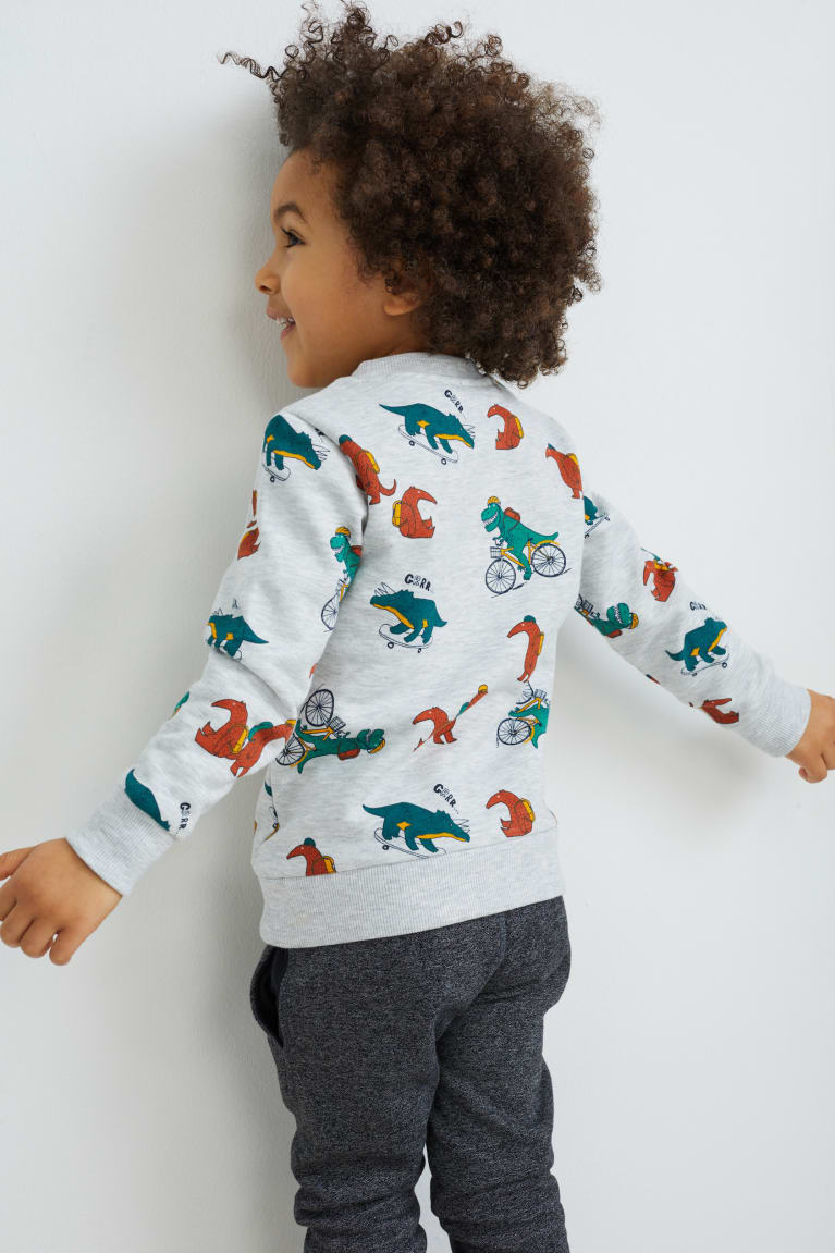 C&A Dinosaur Sweatshirts Lichtgrijs | WGS-609784