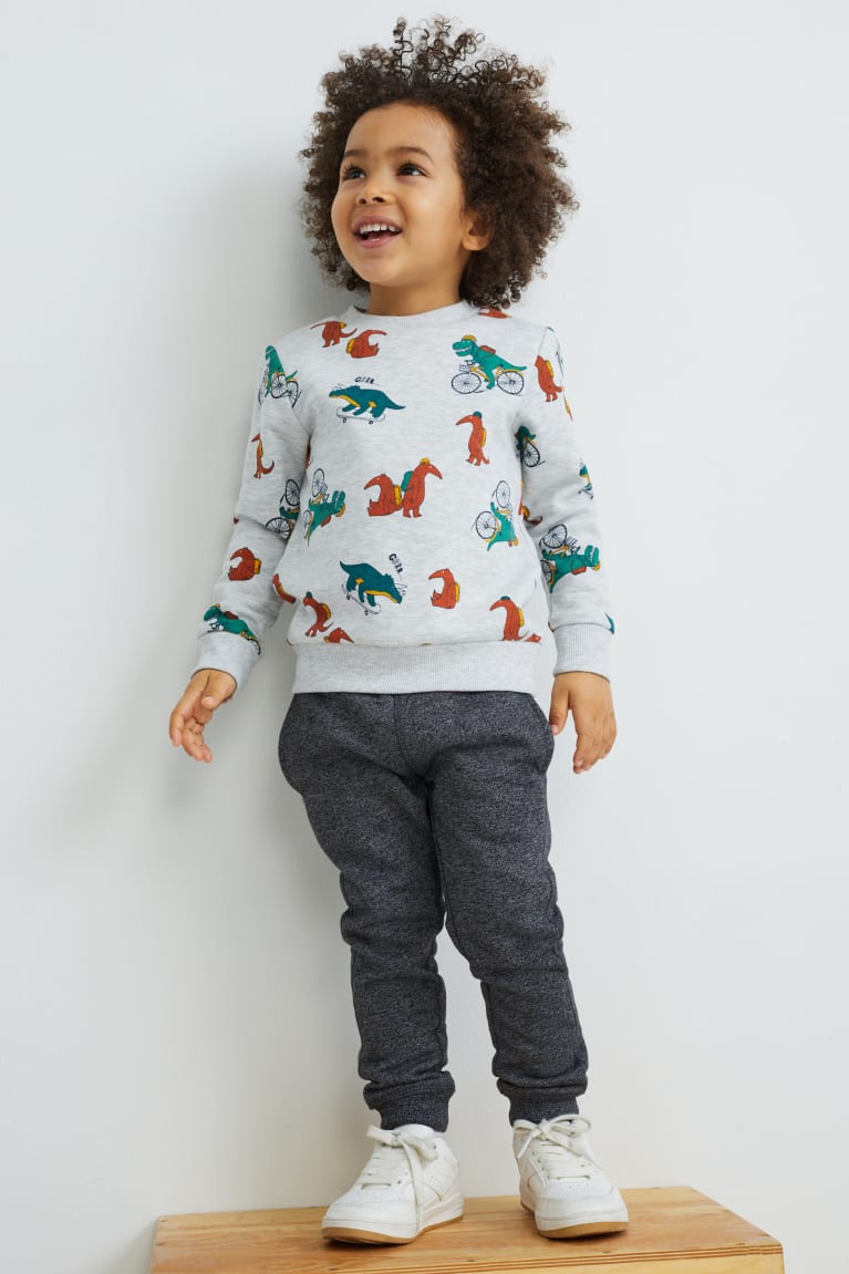 C&A Dinosaur Sweatshirts Lichtgrijs | WGS-609784