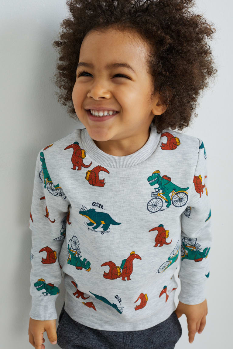 C&A Dinosaur Sweatshirts Lichtgrijs | WGS-609784